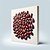 Kidney Beans